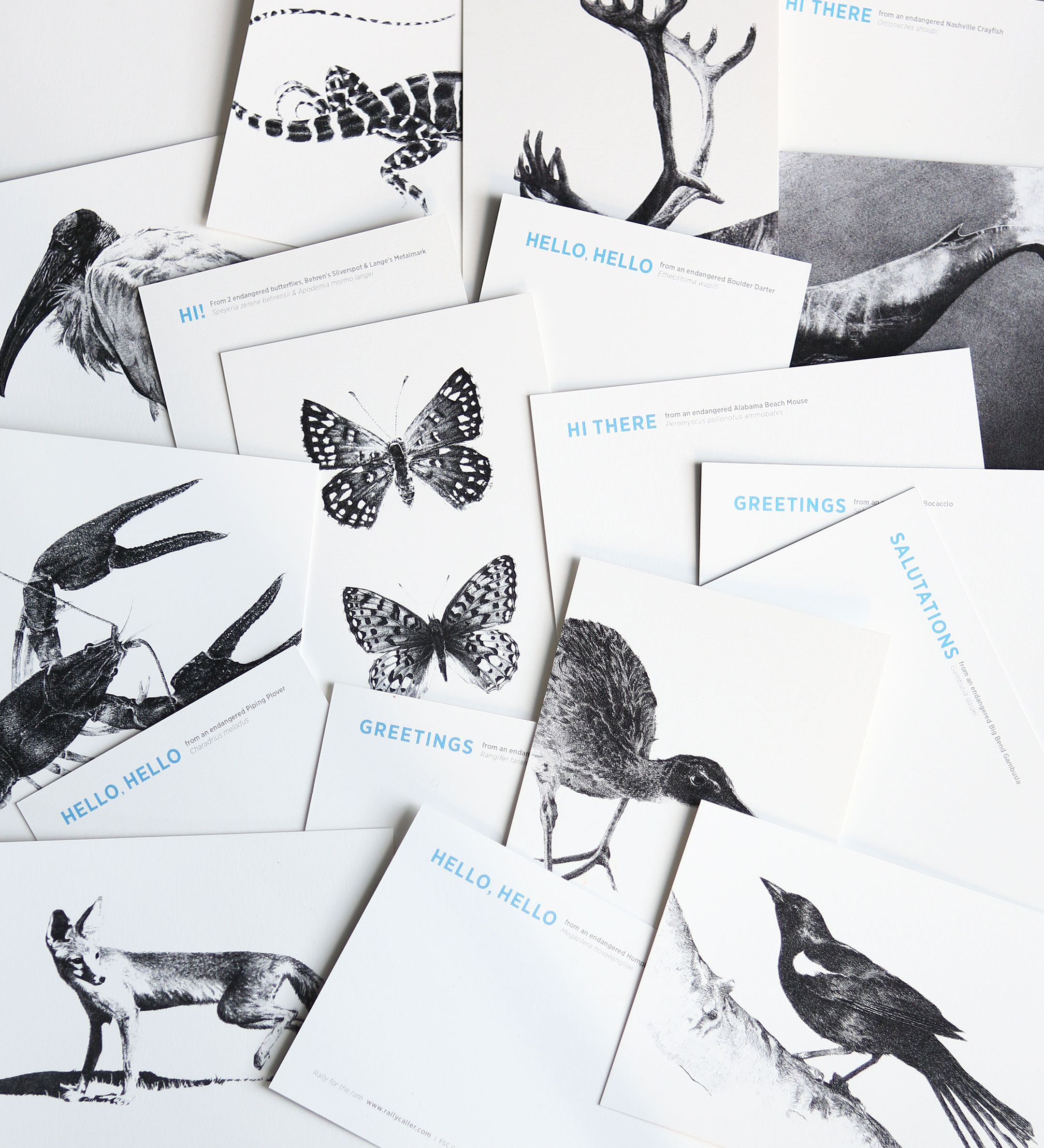 News feeds screenshot