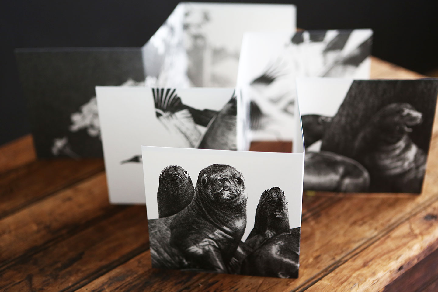 News feeds screenshot