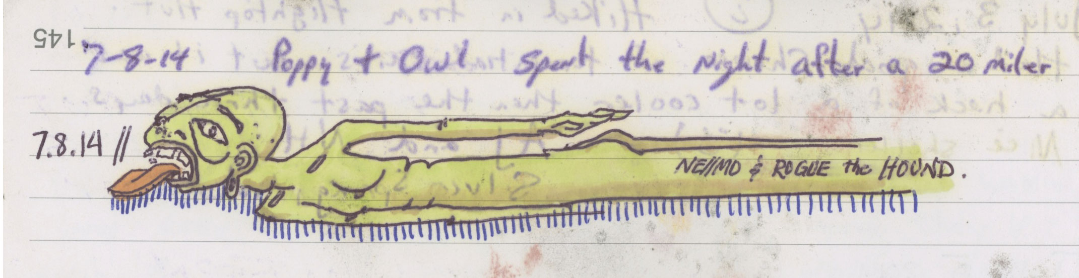 Appalachian Trail shelter log books. Sarah Kaizar - Hiker Trash