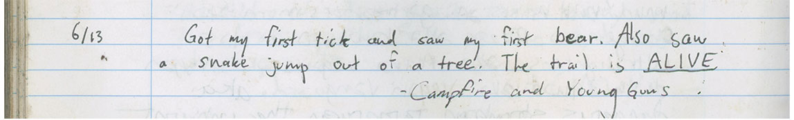 Sarah Kaizar - Appalachian Trail shelter log books