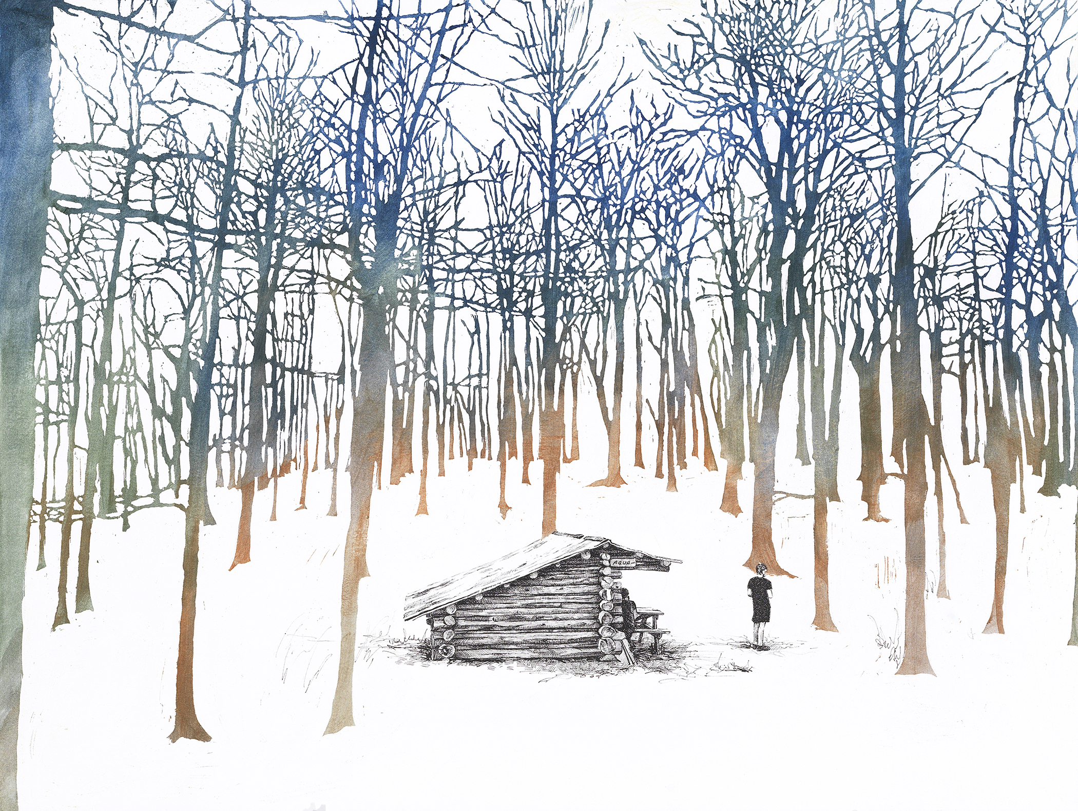 Appalachian Trail - Spring Mountain Shelter, Tennessee. Sarah Kaizar