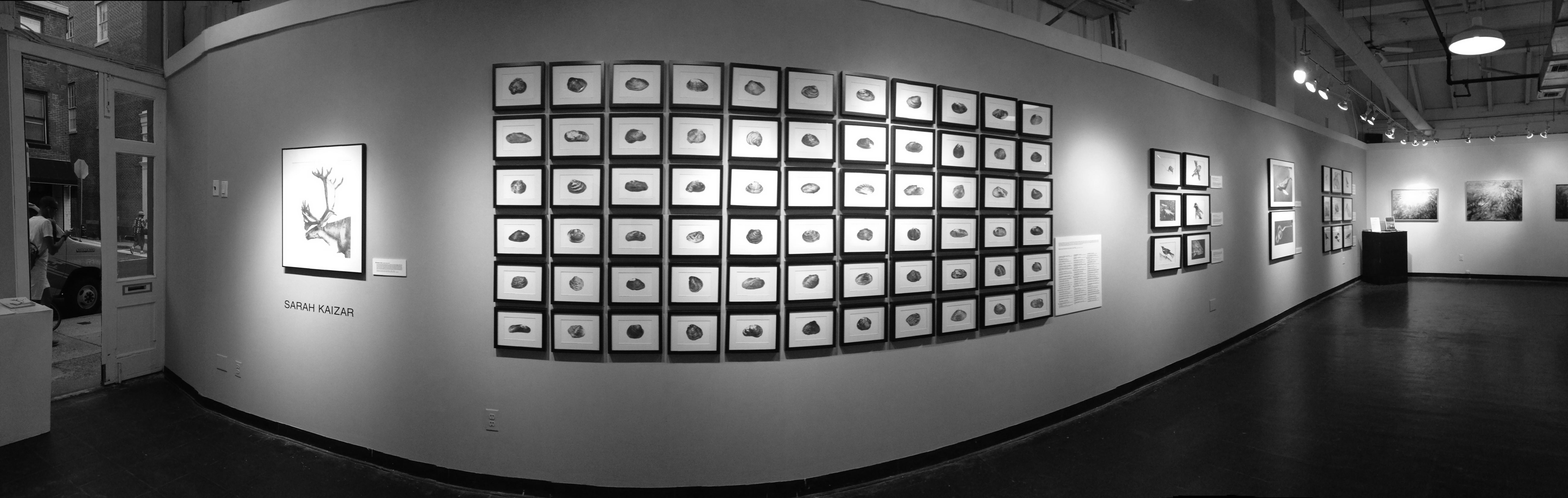 Sarah Kaizar - 3rd Street Gallery Philadelphia