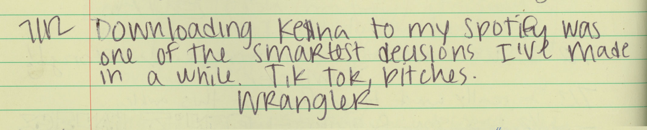 Sarah Kaizar - Appalachian Trail shelter log books. Sarah Kaizar - Hiker Trash