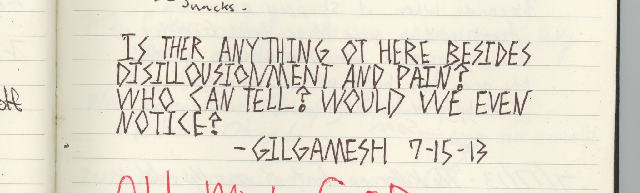 Appalachian Trail shelter log books. Sarah Kaizar - Hiker Trash